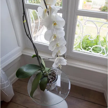 La Maison Guischard De La Menardiere Dite La Maison Romane Pontorson